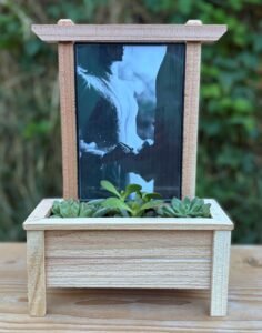 Hand made singe trellis that contains 3 succulents and a cherished photo.
