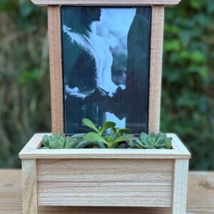 Hand made singe trellis that contains 3 succulents and a cherished photo.