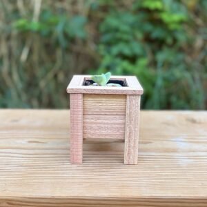 Small size individual planter.