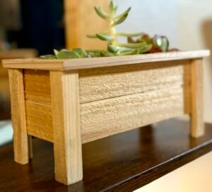 Close Up Cedar Wood Planer with Succulents